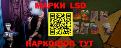 прущие крисы Камышлов