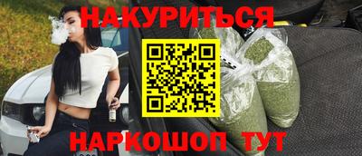 прущие крисы Камышлов