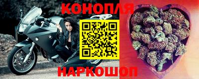 прущие крисы Камышлов