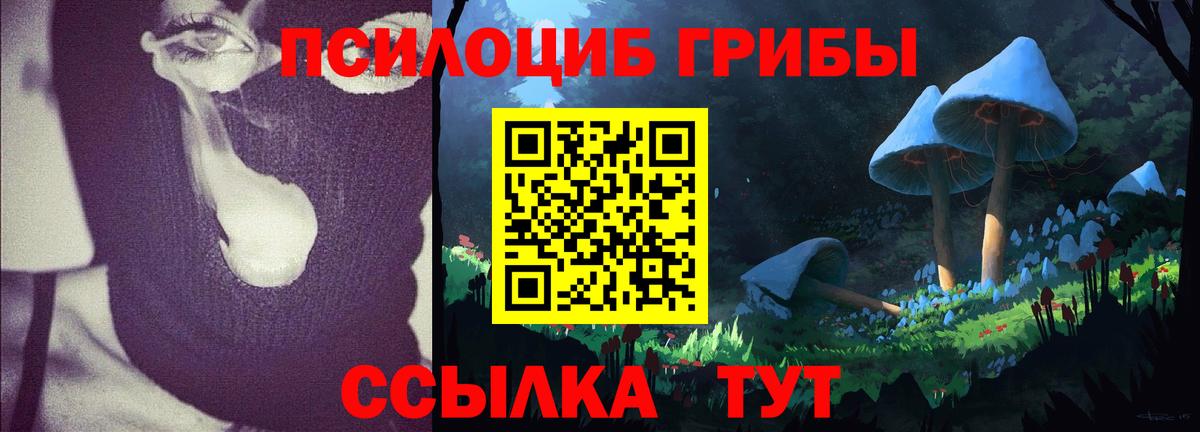 Галлюциногенные грибы мицелий  Вход с VPN  Лесозаводск 